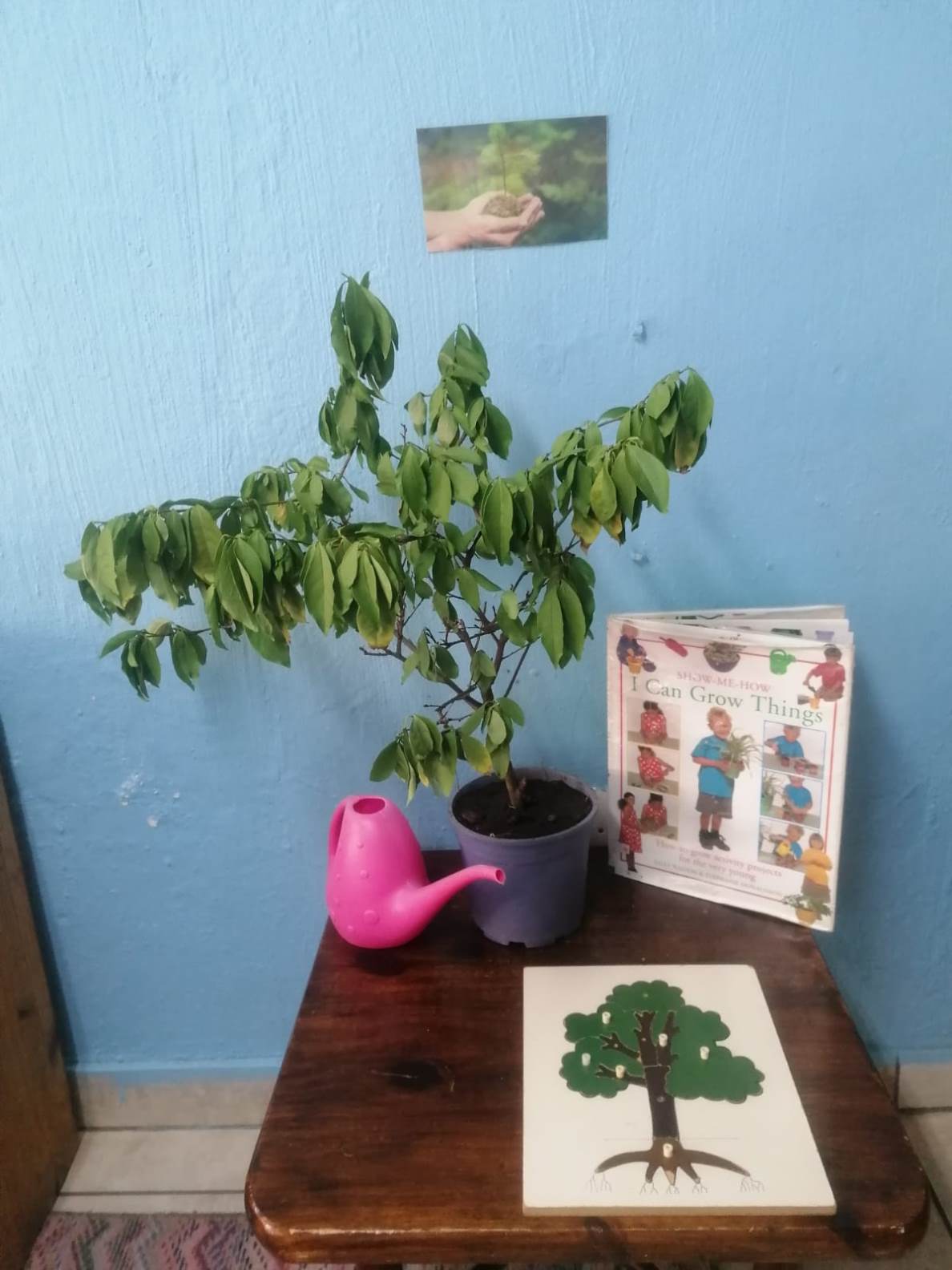Learning Time (27)